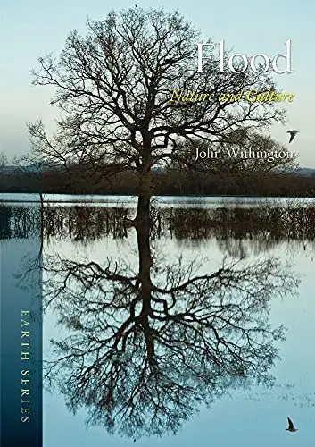 Cover of Flood
