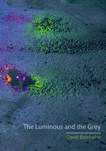 Cover of The Luminous and the Grey