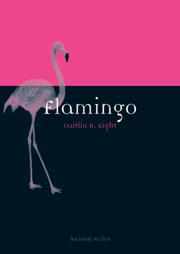 Cover of Flamingo