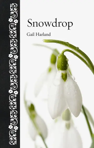 Cover of Snowdrop