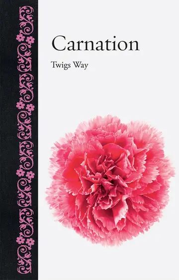 Cover of Carnation