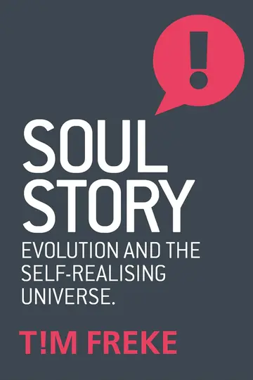 Cover of Soul Story