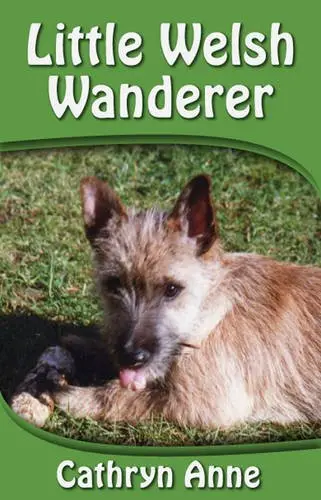 Cover of Little Welsh Wanderer