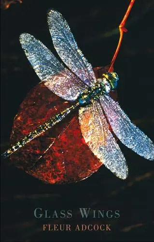 Cover of Glass Wings