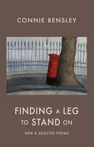Cover of Finding a Leg to Stand on