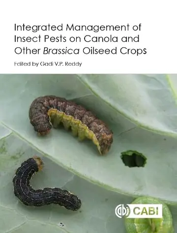 Cover of Integrated Management of Insect Pests on Canola and Other Brassica Oilseed Crops