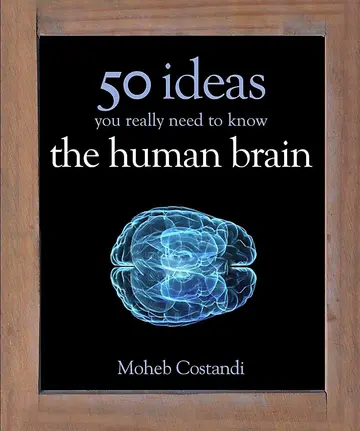 Cover of 50 Human Brain Ideas You Really Need to Know