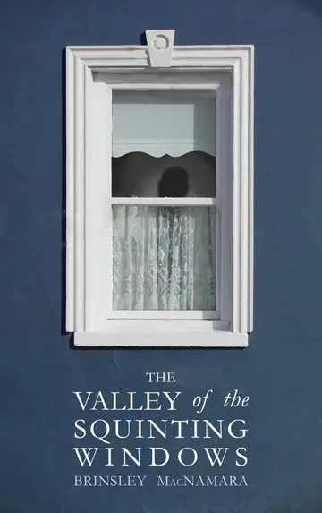 Cover of The Valley of the Squinting Windows