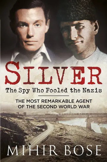Cover of Silver
