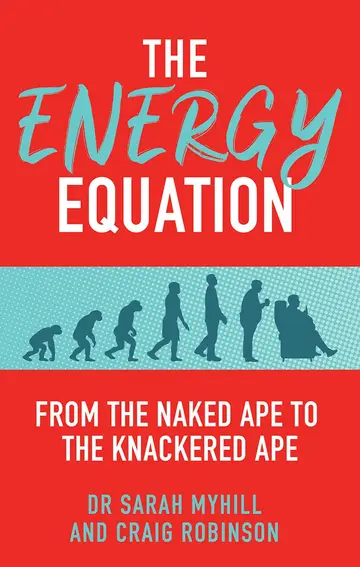 Cover of The Energy Equation