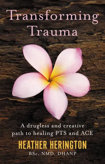 Cover of Transforming Trauma