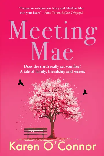 Cover of Meeting Mae