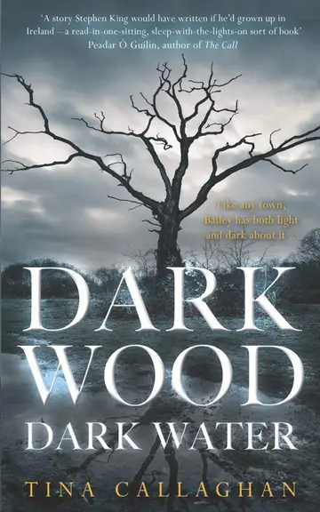 Cover of Dark Wood Dark Water