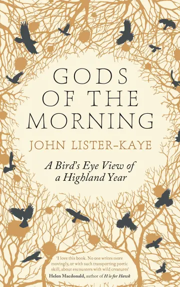 Cover of Gods of the Morning