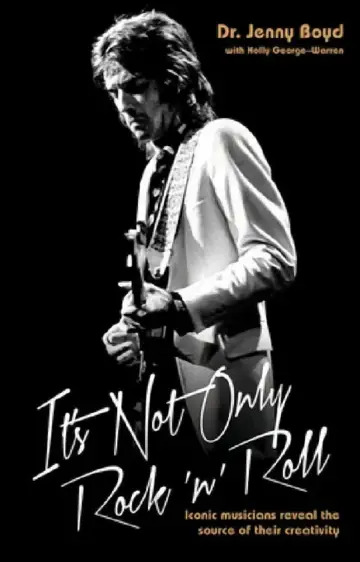 Cover of It's Not Only Rock 'n' Roll