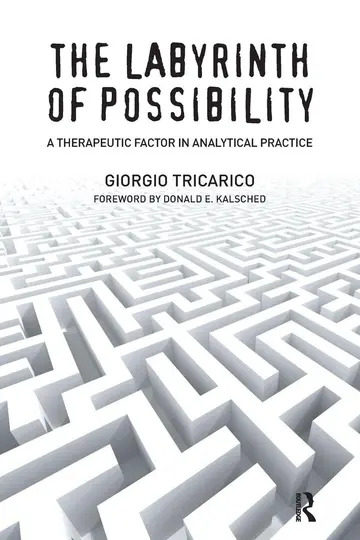 Cover of The Labyrinth of Possibility