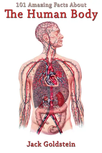 Cover of 101 Amazing Facts About the Human Body