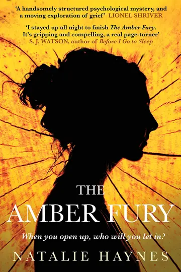 Cover of The Amber Fury