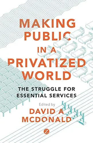 Cover of Making Public in a Privatized World