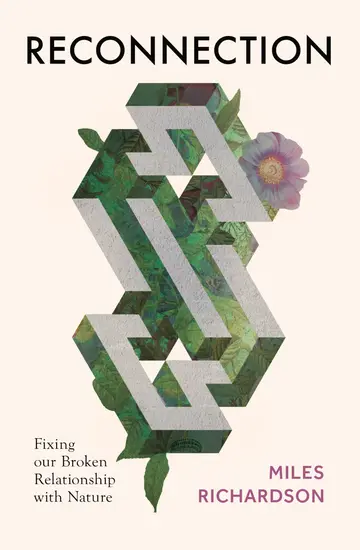 Cover of Reconnection