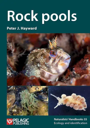Cover of Rock Pools