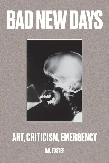 Cover of Bad New Days