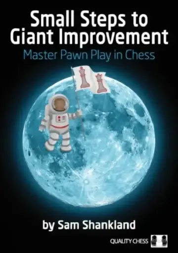 Cover of Small Steps to Giant Improvement