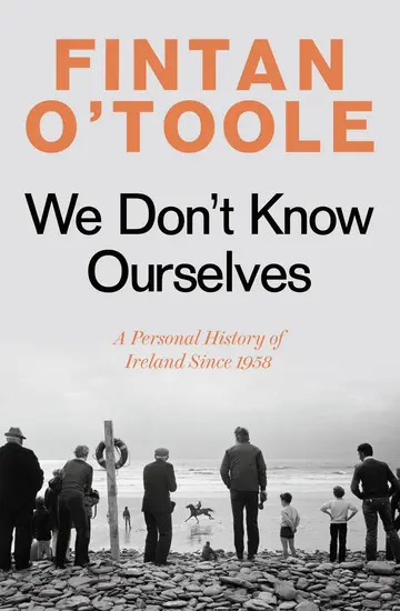 Cover of An Irish Life