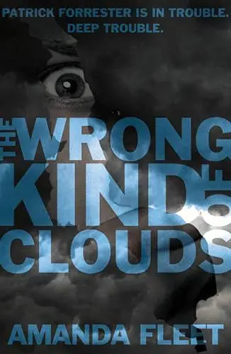 Cover of The Wrong Kind of Clouds