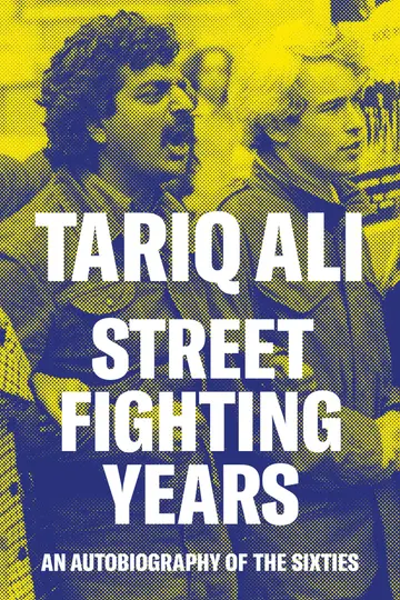 Cover of Street-Fighting Years