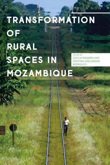 Cover of Transformations of Rural Spaces in Mozambique