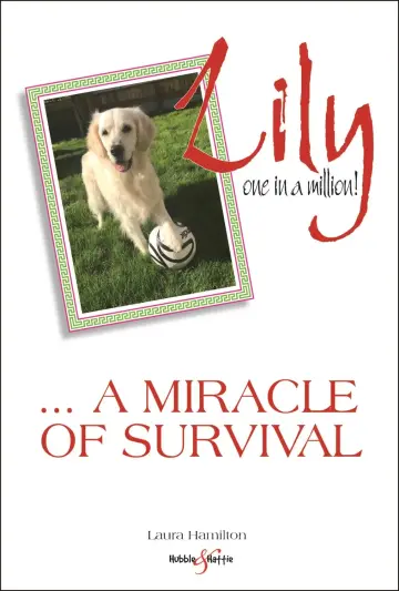 Cover of Lily