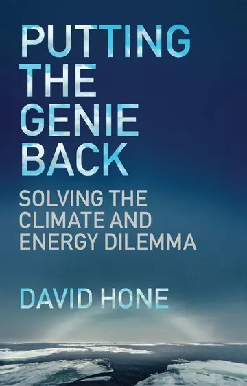 Cover of Putting the Genie Back