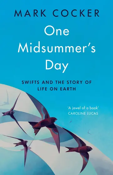 Cover of One Midsummer's Day