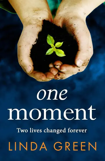 Cover of The Second Time We Met