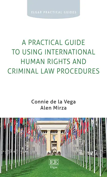 Cover of A Practical Guide to Using International Human Rights and Criminal Law Procedures
