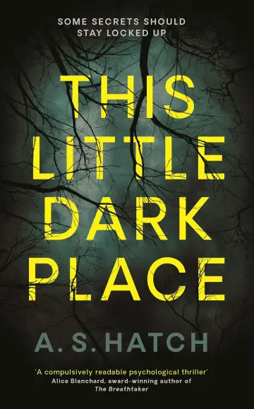 Cover of This Little Dark Place