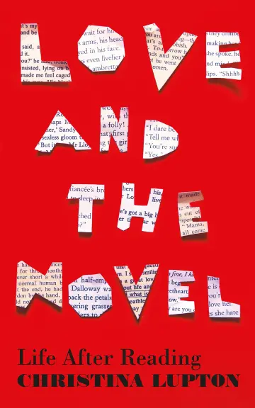 Cover of Love and the Novel