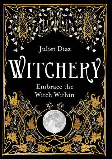 Cover of Witchery