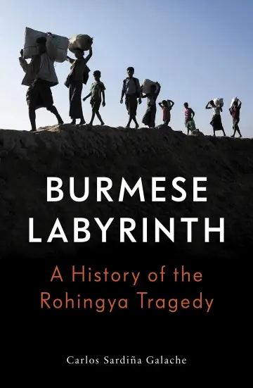 Cover of The Burmese Labyrinth (LBE)
