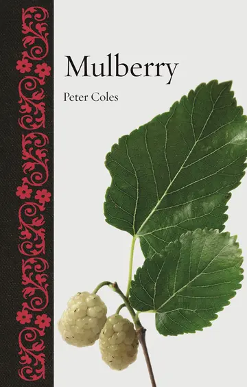 Cover of Mulberry
