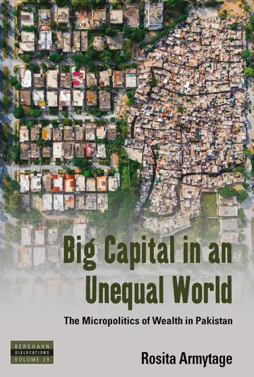 Cover of Big Capital in an Unequal World