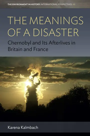 Cover of The Meanings of a Disaster