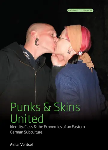 Cover of Punks and Skins United