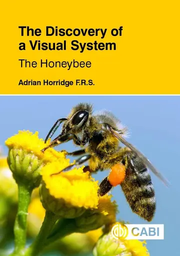 Cover of Discovery of a Visual System - the