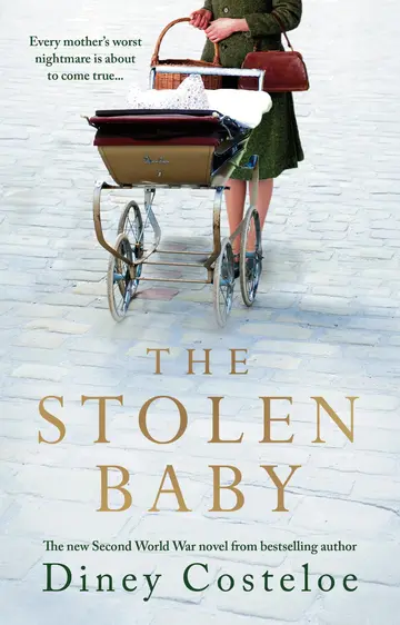 Cover of The Stolen Baby