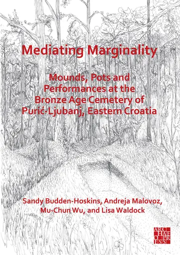 Cover of Mediating Marginality