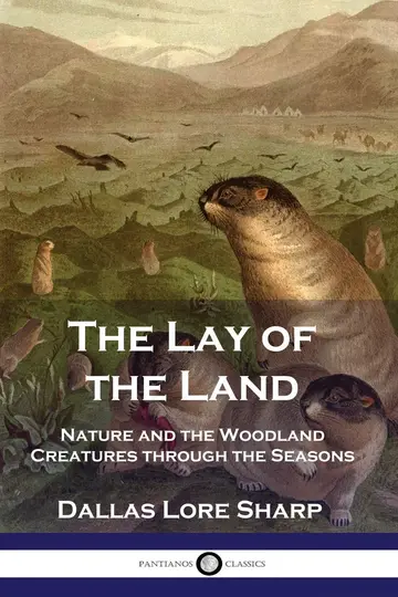 Cover of The Lay of the Land