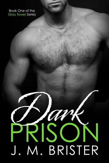 Cover of Dark Prison