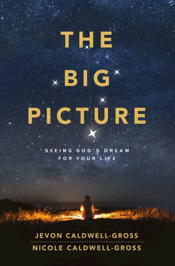 Cover of Big Picture, the